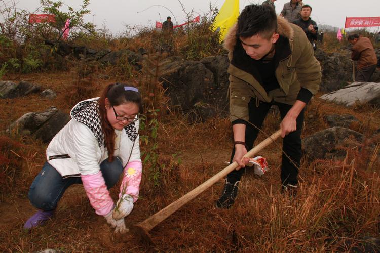 黔西县各乡镇掀起荒山造林绿化工作热潮